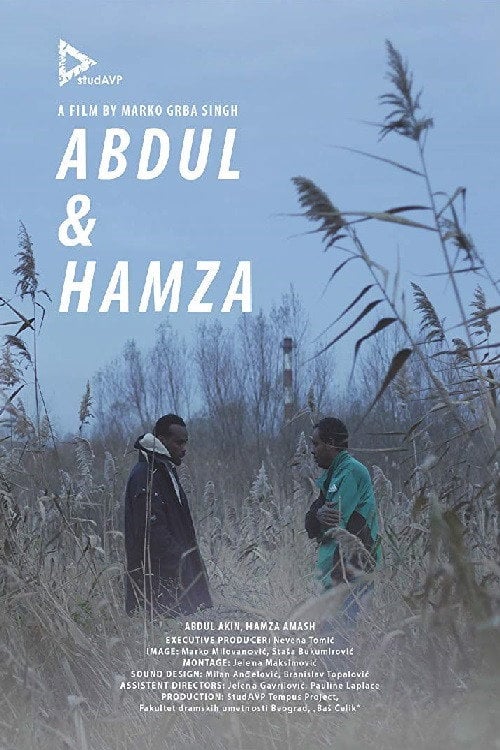 Movie poster for Abdul & Hamza (2015)