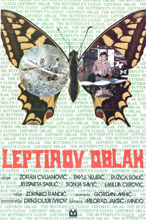 Movie poster for Butterfly Cloud (1977)