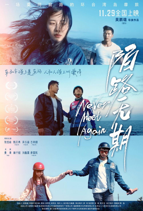 Movie poster for Never Meet Again (2024)