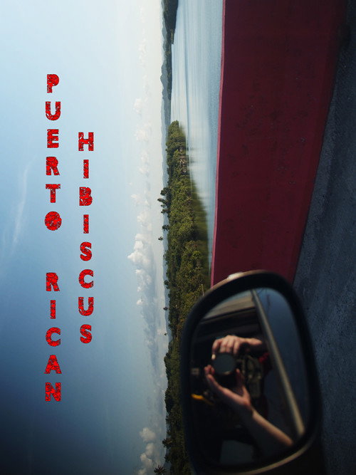 Movie poster for Puerto Rican Hibiscus