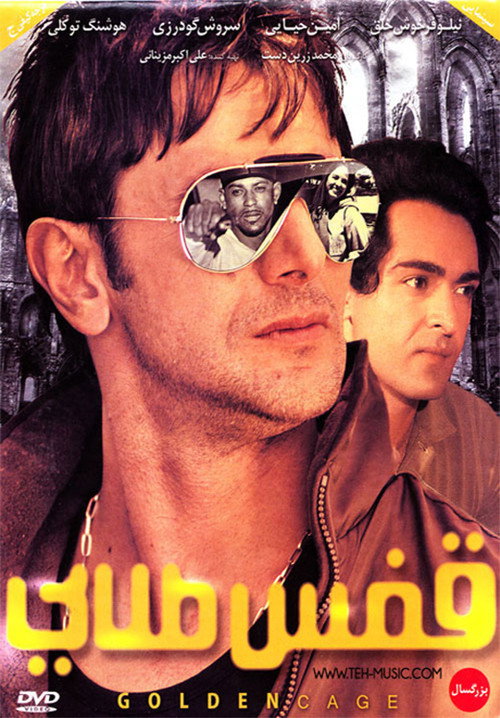 Movie poster for Golden Cage (2010)