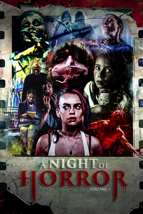 Movie poster for A Night of Horror Volume 1 (2015)
