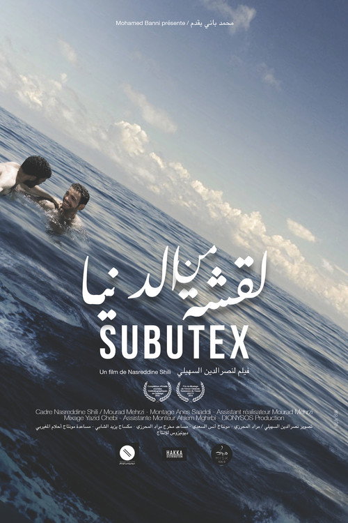 Movie poster for Subutex (2018)
