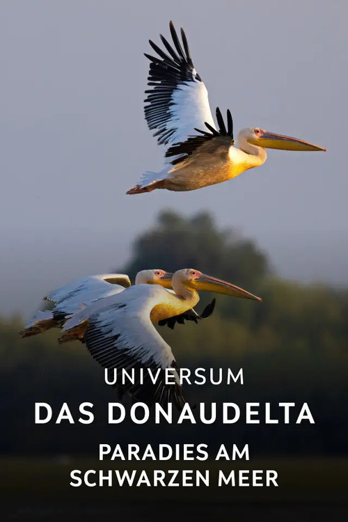 Movie poster for Das Donaudelta - Paradies am Schwarzen Meer (2025)