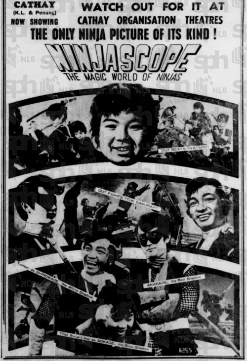 Movie poster for Ninjascope: The Magic World of Ninjas (1968)
