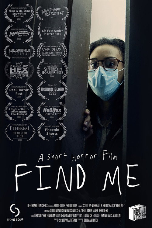 Movie poster for Find Me (2022)