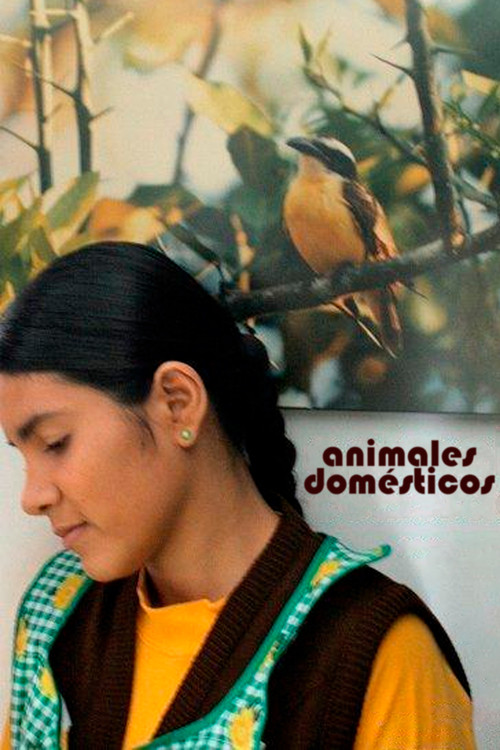 Movie poster for Animales Domésticos (2009)
