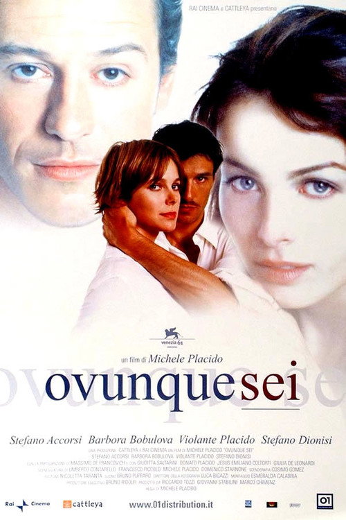 Movie poster for Wherever You Are (2004)