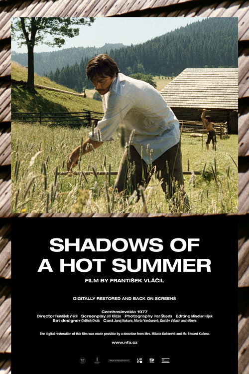 Movie poster for Shadows of a Hot Summer (1978)