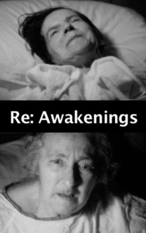 Movie poster for Re: Awakenings (2013)