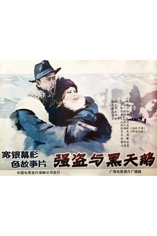 Movie poster for The Robbers and the Black Swan (1988)