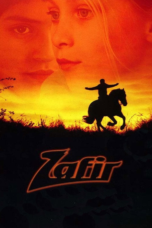 Movie poster for Zafir (2003)