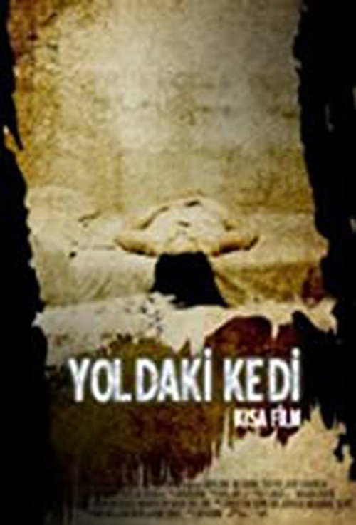 Movie poster for The Cat on the Road (2007)