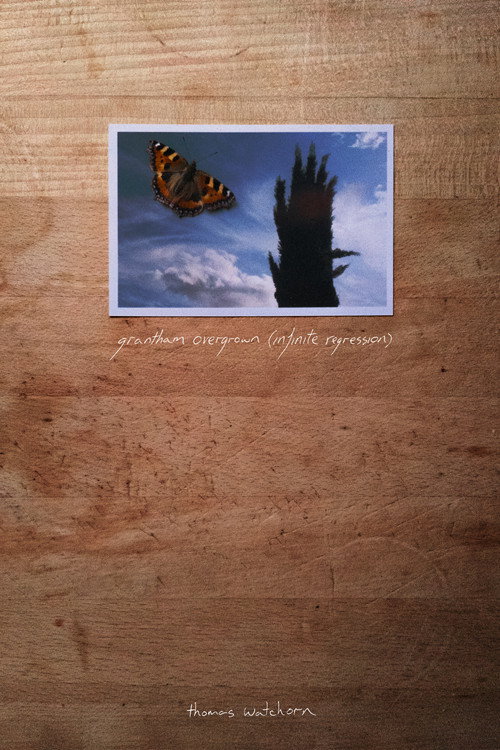Movie poster for Grantham Overgrown (Infinite Regression) (2021)