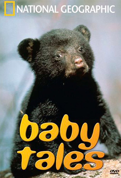 Movie poster for Baby Tales (2000)
