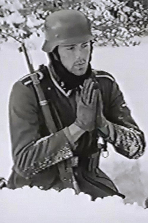 Movie poster for The Snow Field (1996)
