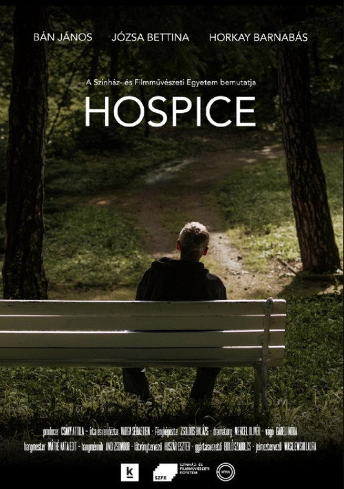 Movie poster for Hospice