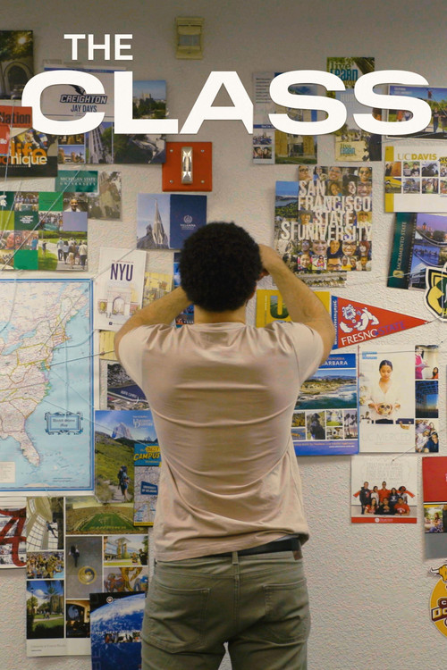 The Class poster