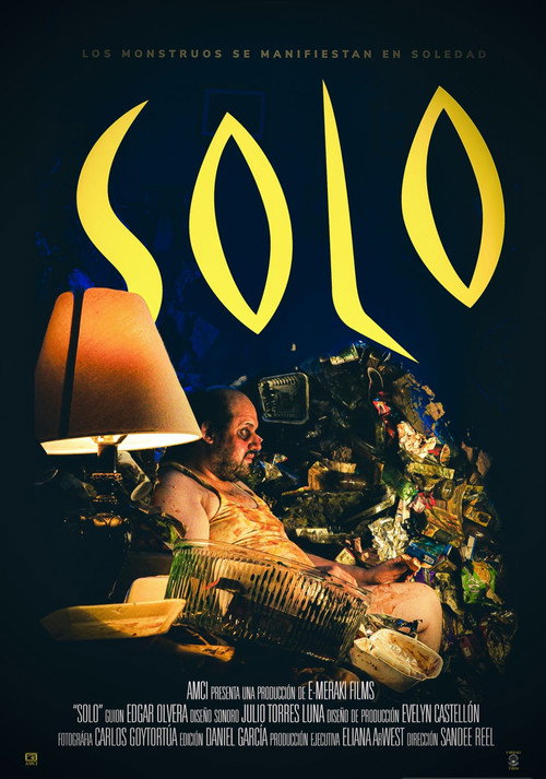 Movie poster for Solo (2022)