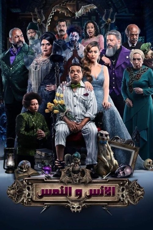 Movie poster for The Humans and the Mongoose (2021)