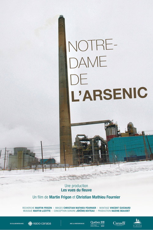 Movie poster for Notre-Dame-de-l'Arsenic (2023)