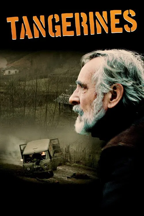 Movie poster for Tangerines (2013)