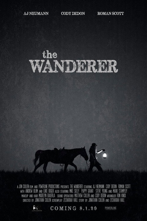 Movie poster for The Wanderer (2020)