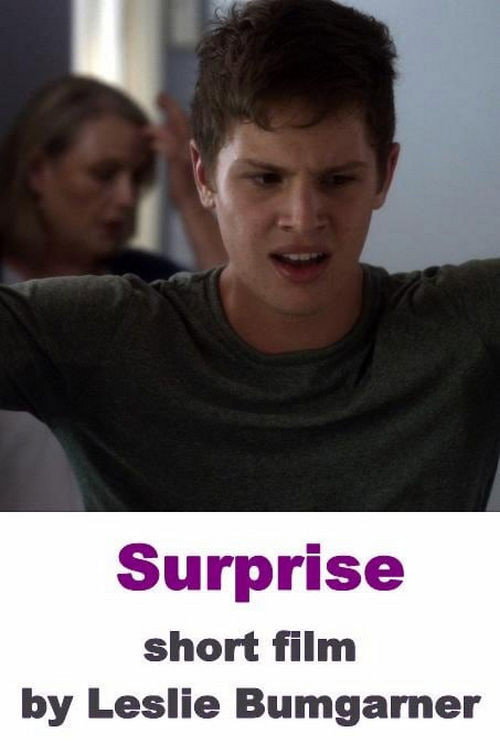 Movie poster for Surprise (2015)