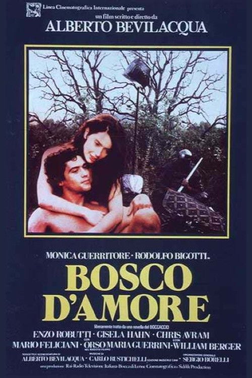 Movie poster for Bosco d'amore (1981)