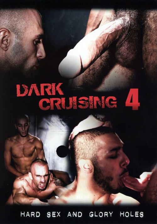Movie poster for Dark Cruising 4 (2012)