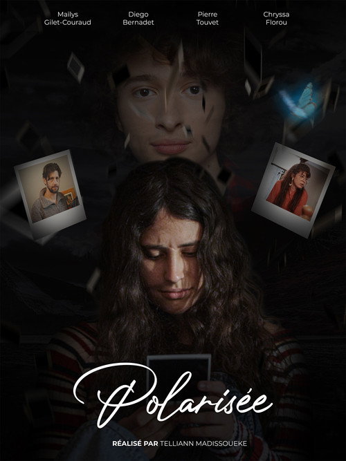 Movie poster for Polarized