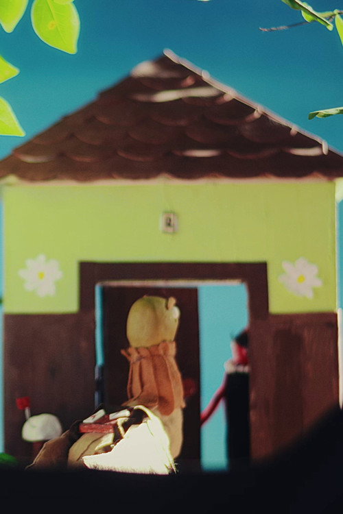 Movie poster for Um pombo que cai (2023)