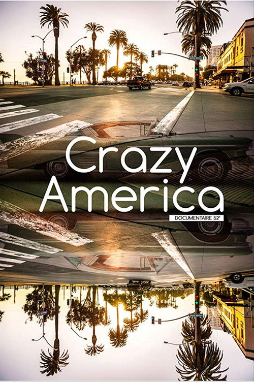 Movie poster for Crazy America (2017)