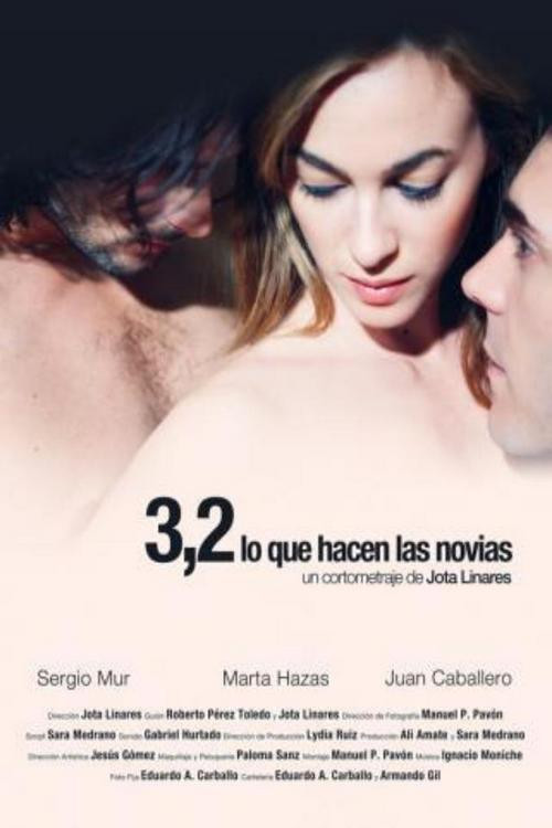 Movie poster for What the Brides Do (2011)