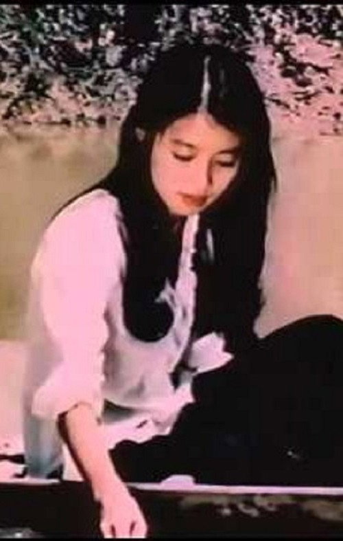 Movie poster for The Birds Sang in a Tranquil Place (1986)