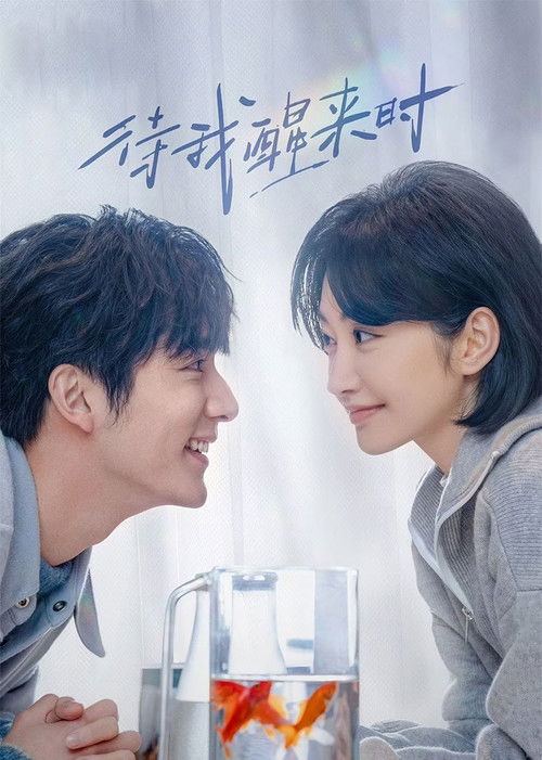 Coming to Myself poster