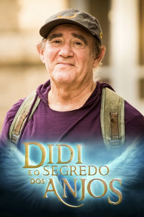 Movie poster for Didi and the Secret of the Angels (2014)
