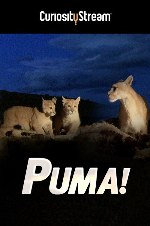 Movie poster for Puma! (2015)