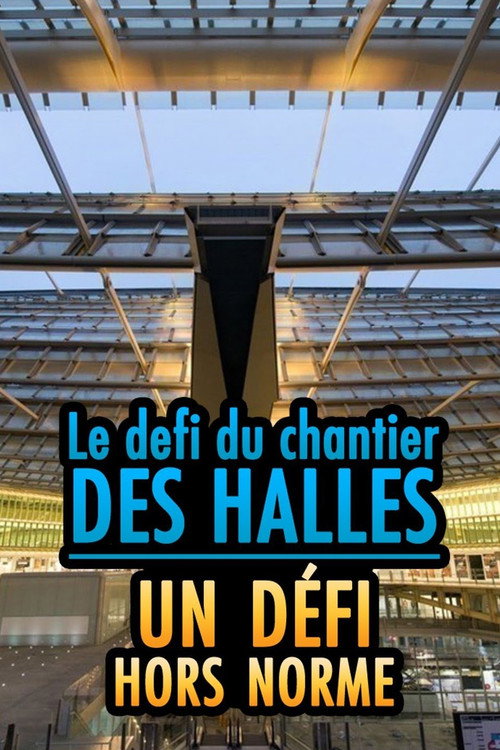 Movie poster for Le chantier des Halles : un défi hors norme (2018)