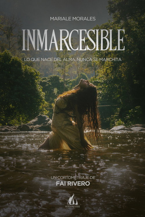 Movie poster for Unfading