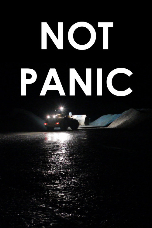 Movie poster for Not Panic (2010)