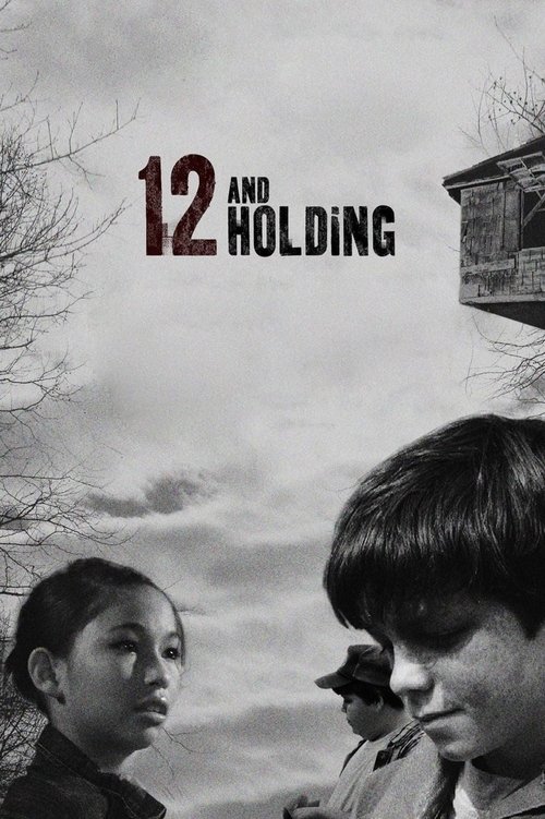Movie poster for 12 and Holding (2006)