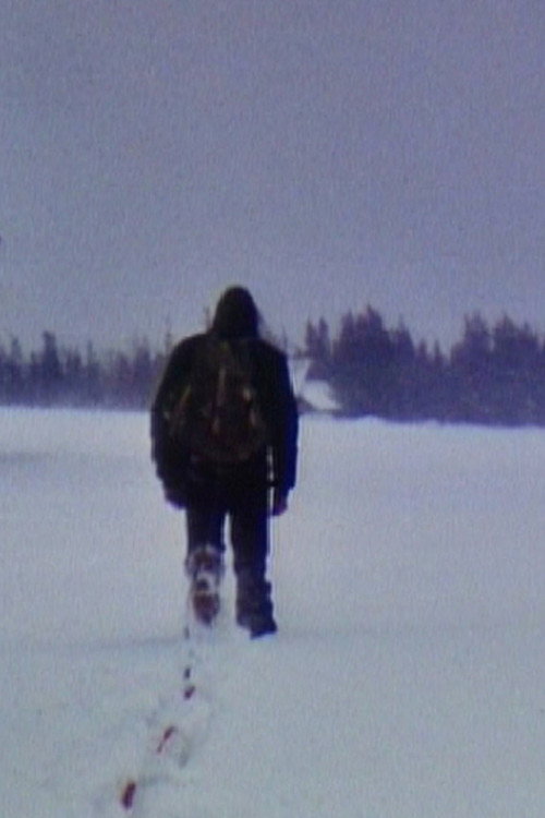 Movie poster for Track (1980)