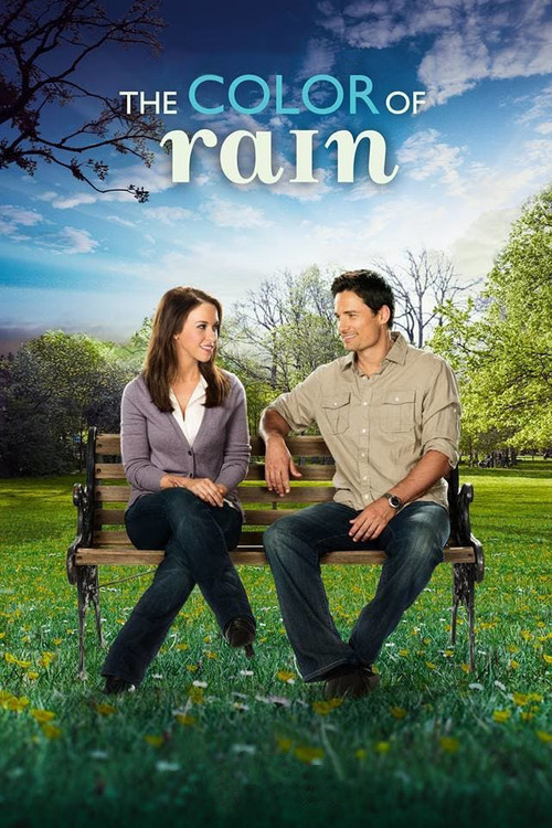 Movie poster for The Color of Rain (2014)