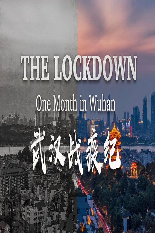 Movie poster for The Lockdown: One Month in Wuhan (2020)