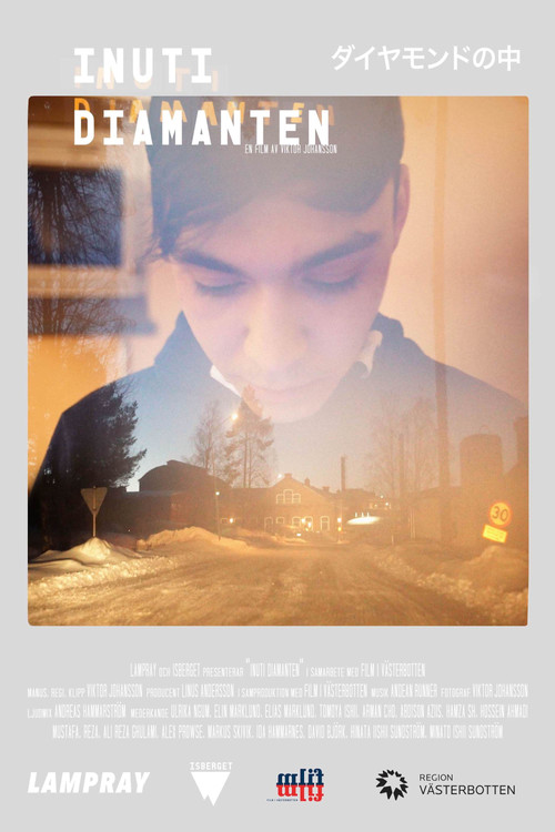 Movie poster for Inside the Diamond (2020)