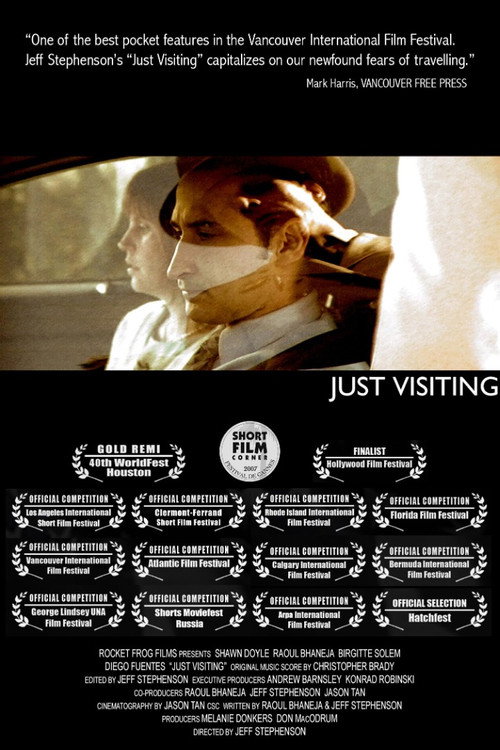 Movie poster for Just Visiting (2006)