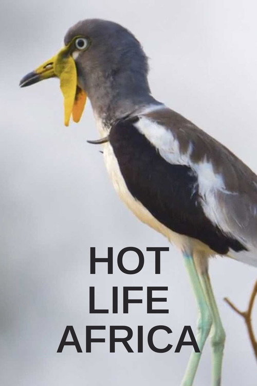 Series poster for Hot Life Africa (2023)