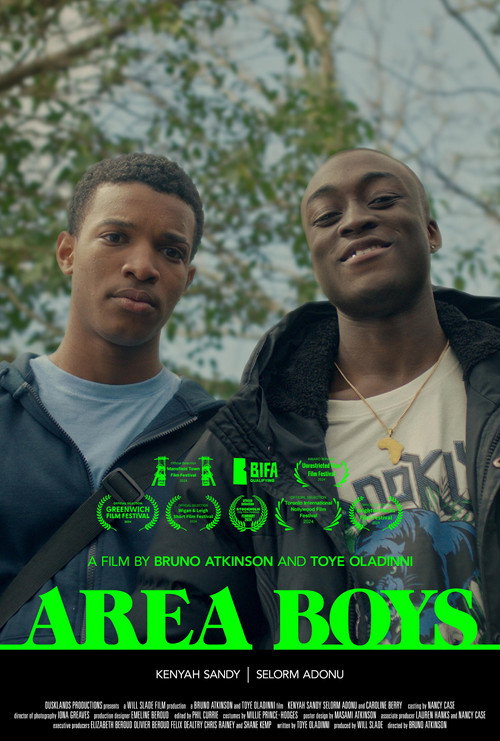 Movie poster for Area Boys (2023)