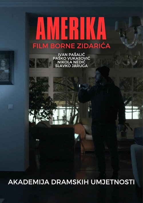 Movie poster for America (2020)